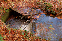 Click to see expanded image