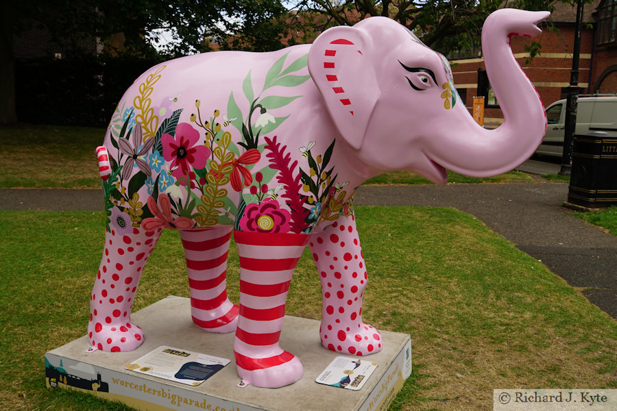 Elephant 1 :  "An Elephant Never Forgets", Worcester Big Parade 2021