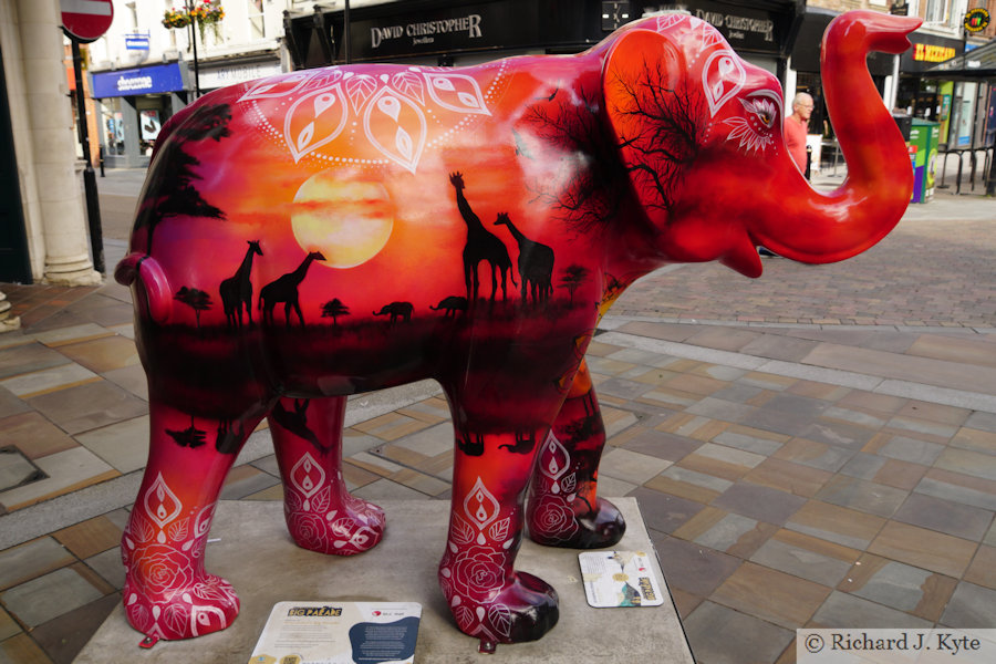 Elephant 5 :"Sundown Stroll", Worcester Big Parade 2021