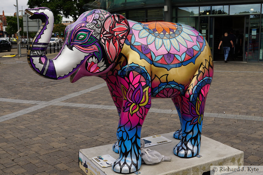 Elephant 17 : "Sundar", Worcester Big Parade 2021