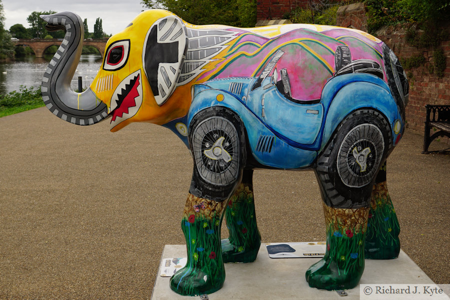 Elephant 29 : "Ash", Worcester Big Parade 2021