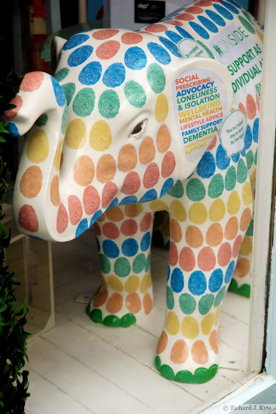 Elephant 57 : "Individu-Elly", Worcester's Big Parade 2021