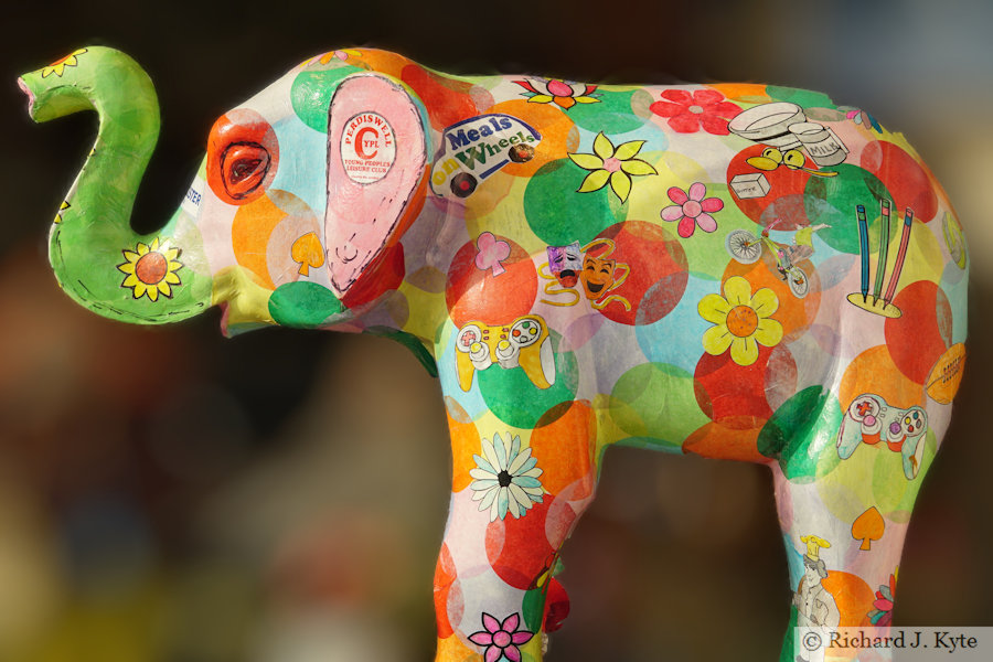Elephant 60 : "Perdi", Worcester's Big Parade 2021