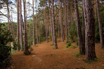Click to see expanded image