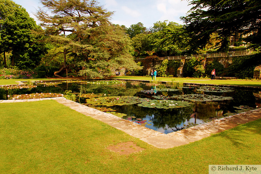 The Lily Terrace, Bodnant Garden