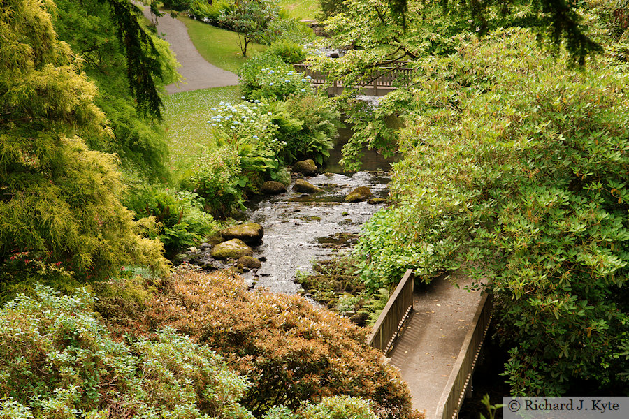 Stream, The Old Mill, Bodnant Garden