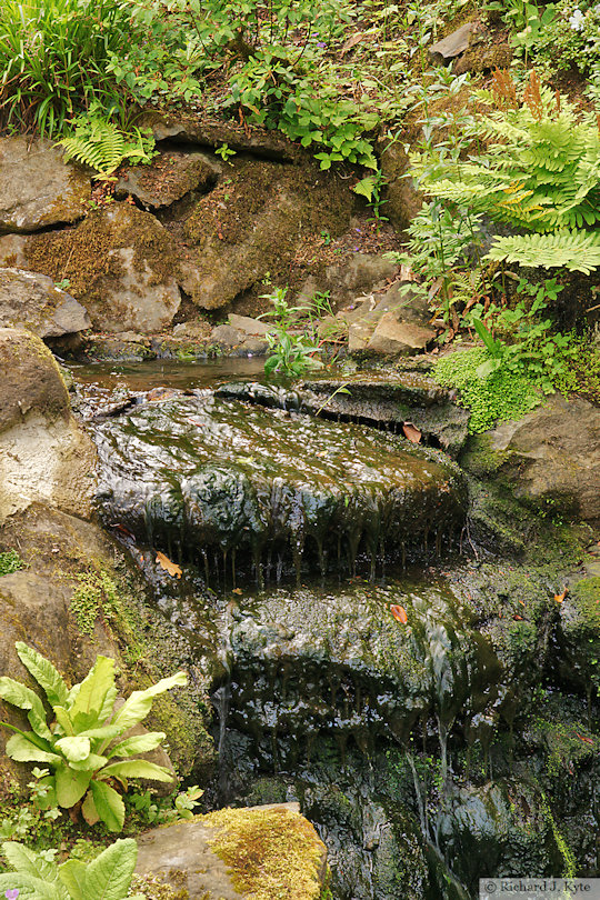 Waterfall, Bodnant Garden