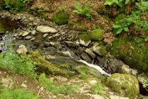 Click to see expanded image