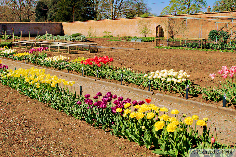 Kitchen Garden, Tyntesfield, Somerset