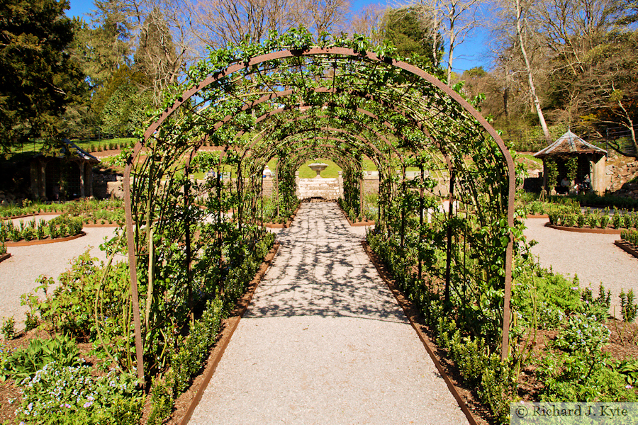 Trellis, The Rose Garden, Tyntesfield, Somerset