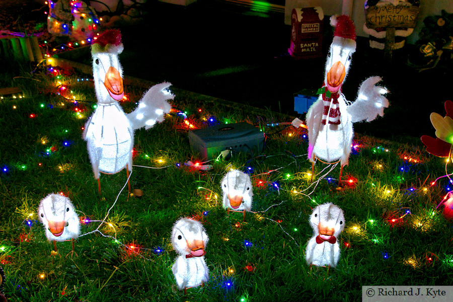 Goose Family Christmas Lights, Rynal Place, Evesham, Worcestershire