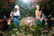 Click to see expanded image