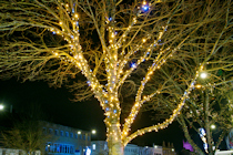 Click to see expanded image