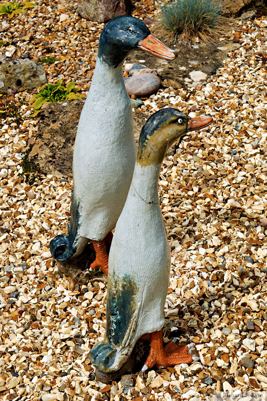 Duck Ornaments, Garden 2: "The Orchards", Fladbury Walkabout 2026