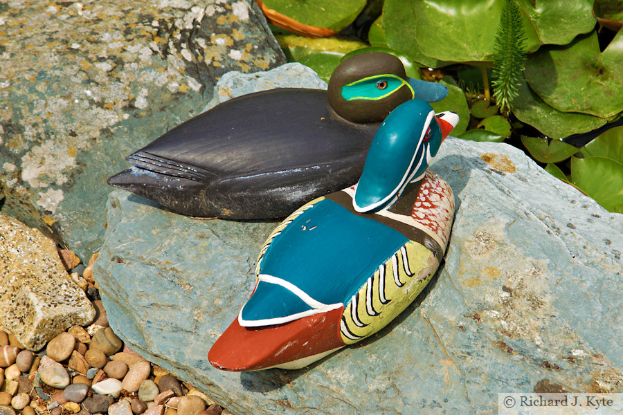 Duck Ornaments, Garden 4, Fladbury Walkabout 2026