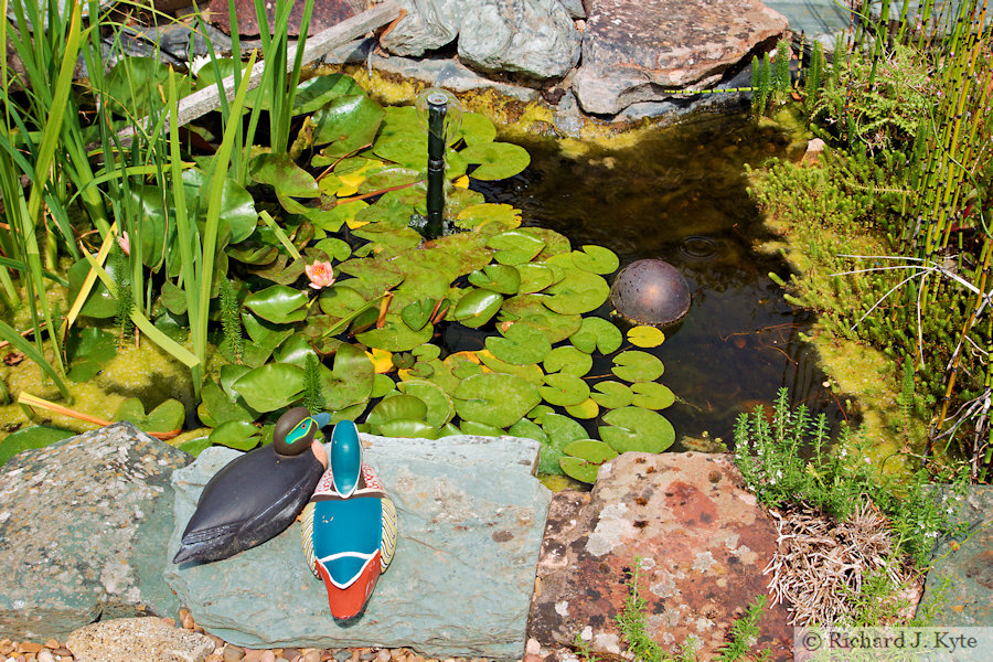 Pond, Garden 4, Fladbury Walkabout 2026