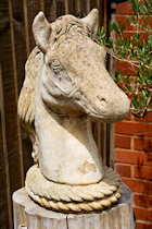 Click to see expanded image