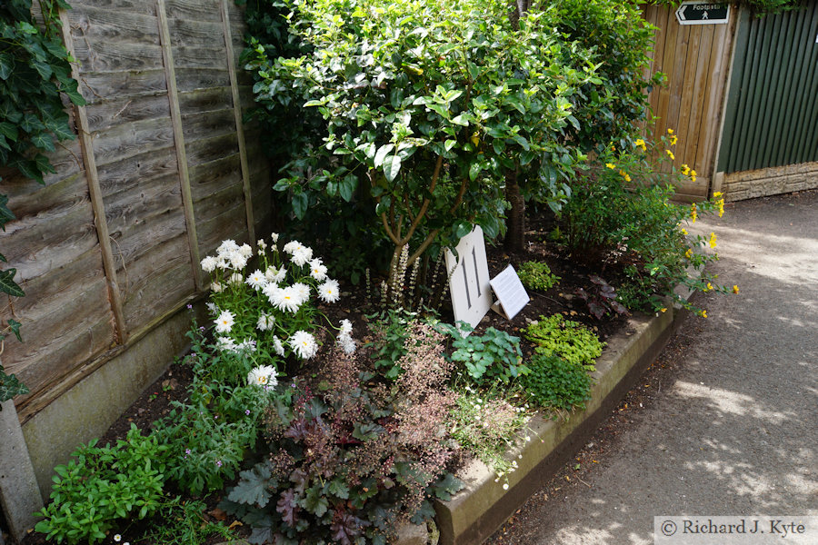 Garden 11: "Guerrilla Garden", Fladbury Walkabout 2026