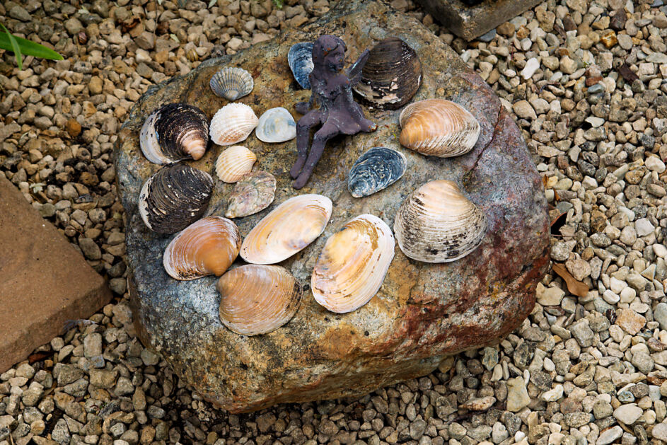 Ornament, Garden 12, Fladbury Walkabout 2026