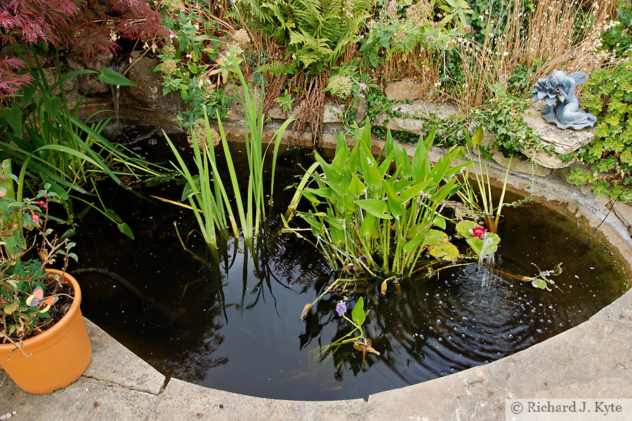 Pond, Garden 19, Fladbury Walkabout 2026