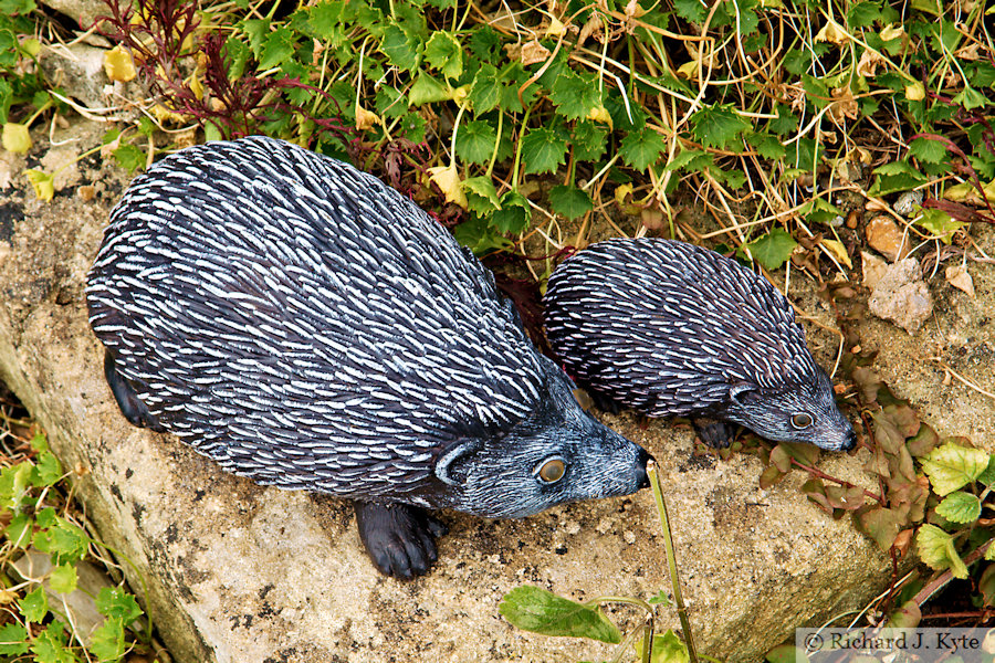 Hedgehog Ornaments, Garden 19, Fladbury Walkabout 2026
