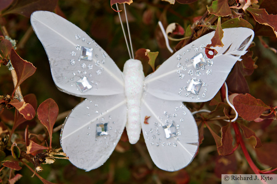 Butterfly Ornament, Garden 19, Fladbury Walkabout 2026