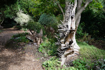Click to see expanded image