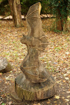Click to see expanded image