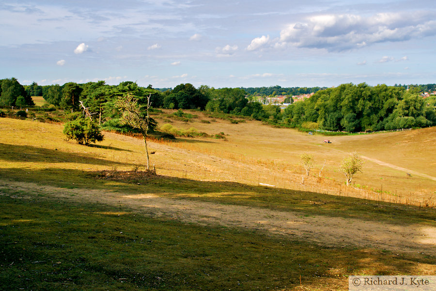 Rabbit Field, Sutton Hoo, Suffolk