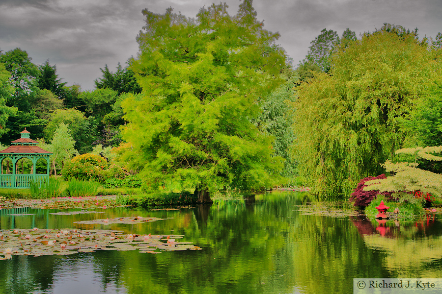 Orfe Pond, Bennett's Water Garden, Weymouth, Dorset