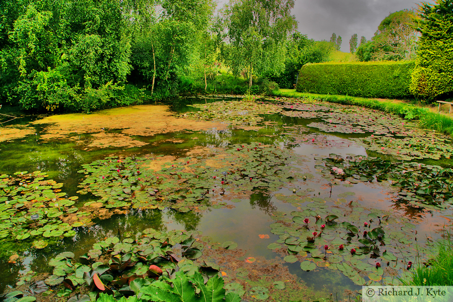 Show Pond, Bennett's Water Garden, Weymouth, Dorset
