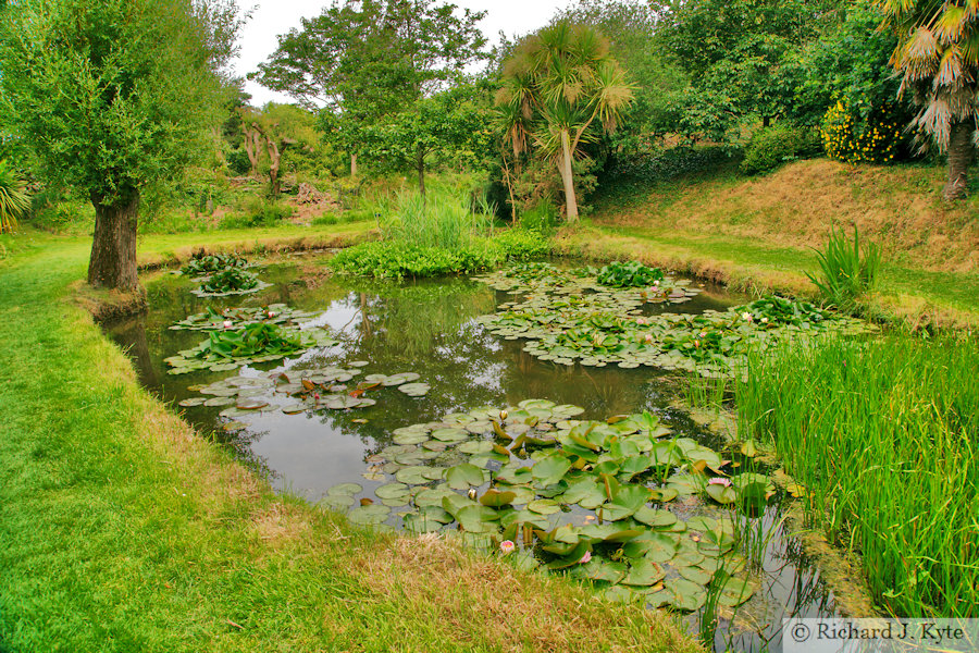 Pam's Pond, Bennett's Water Garden, Weymouth, Dorset
