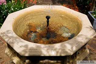 Birdbath, Garden 1, Fladbury Walkabout 2026 Birdbath, Garden 1, Fladbury Walkabout 2026