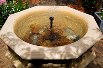 Birdbath, Garden 1, Fladbury Walkabout 2026
