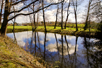 Hunslet no. 1589 "Newstead" at Parkend