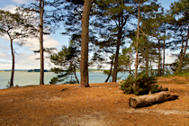 Brownsea Island Photographs