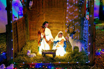 Nativity Scene, Christmas Lights, Rynal Place, Evesham