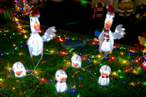 Cotswold Hare Trail 2018