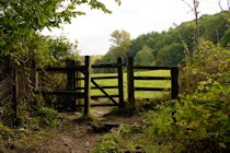 Woodchester Park Photographs